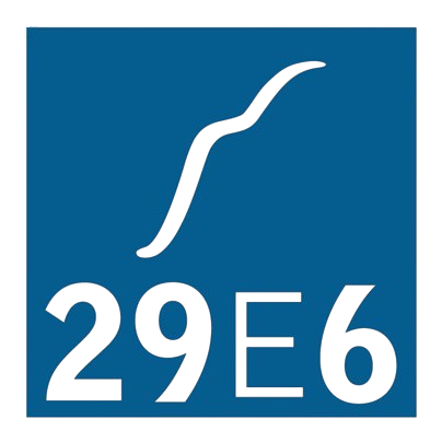 29E6 Engineering — US structural engineering client